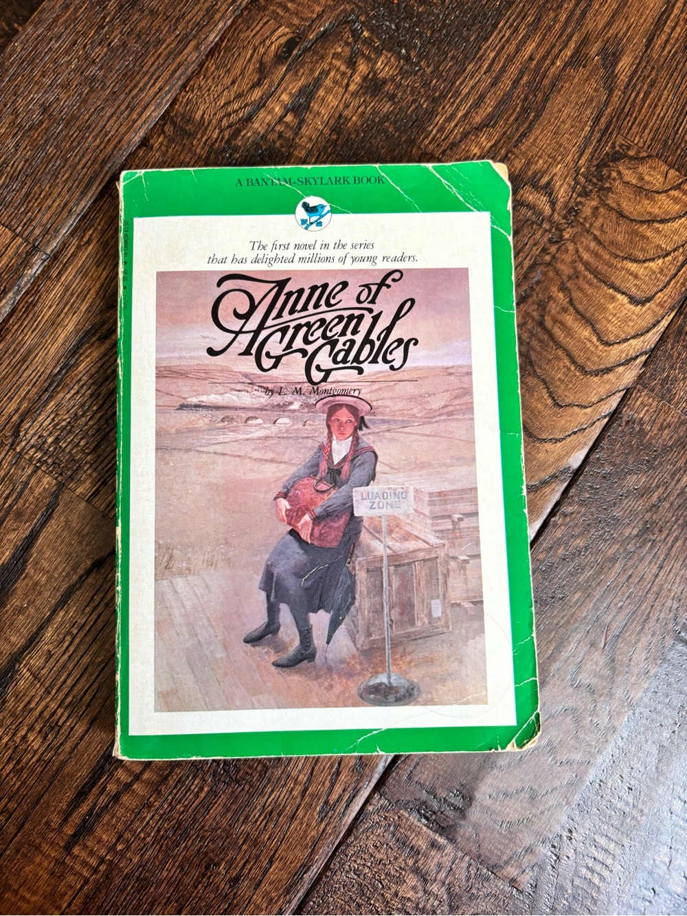 Vintage Anne of Green Gables by L. M. Montgomery Bantam Skylark Book paperback